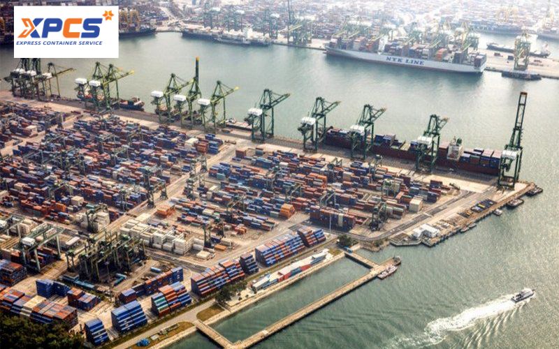 XPCS Vận Tải Container - Milestone Tracking FCL/LCL 2026